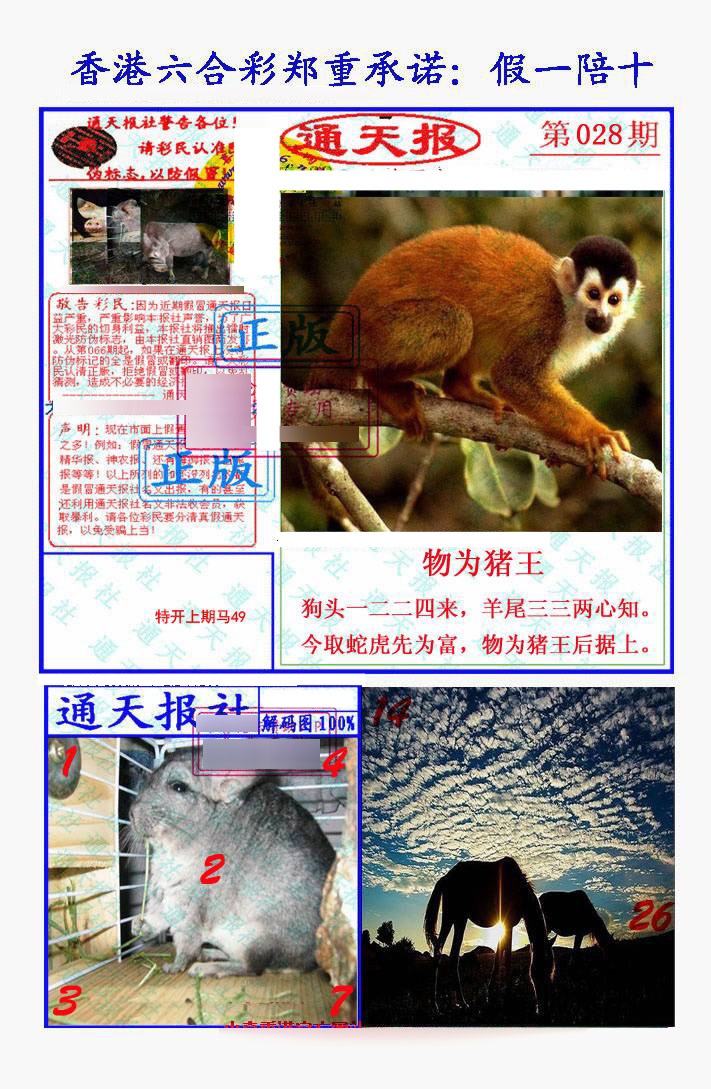 028期假一陪十通天报[图]